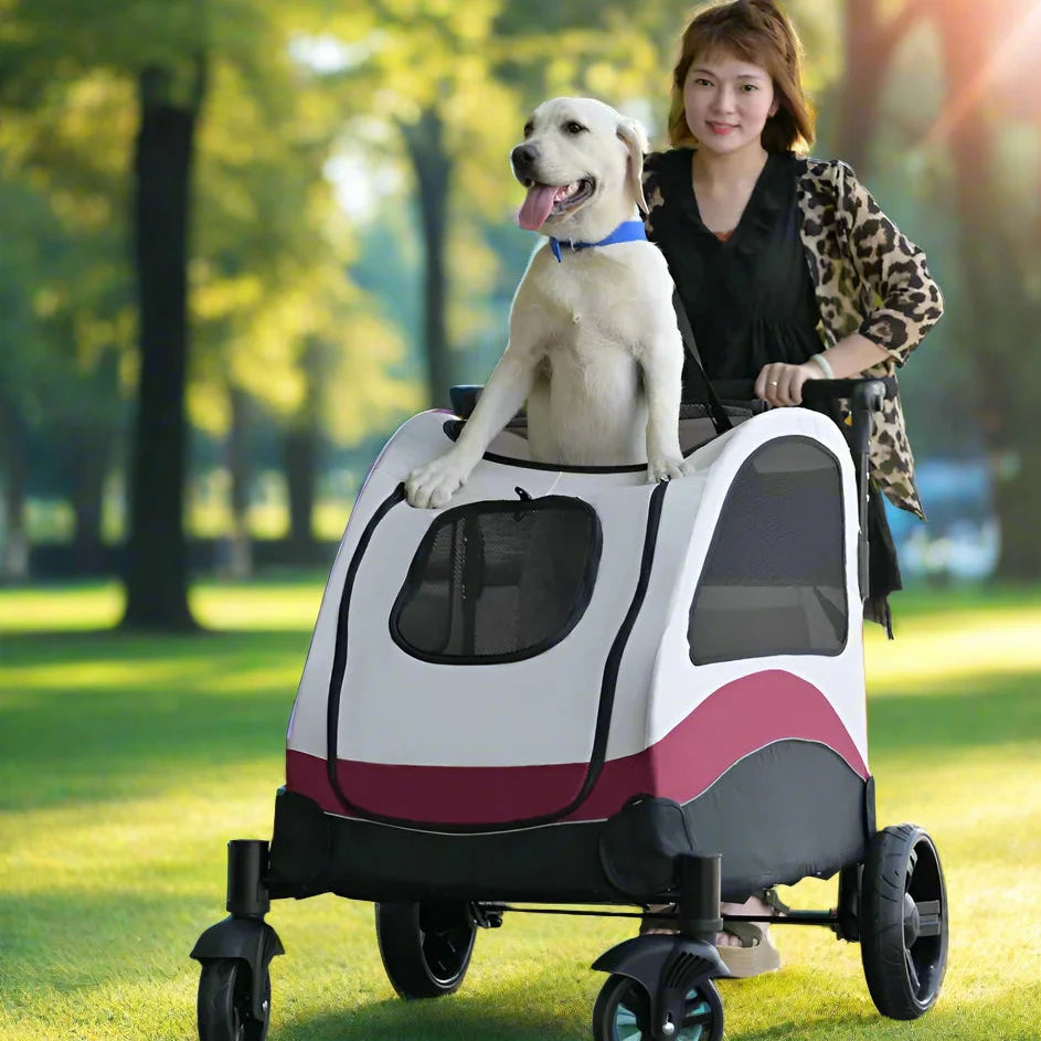 Poussette Pour Chien