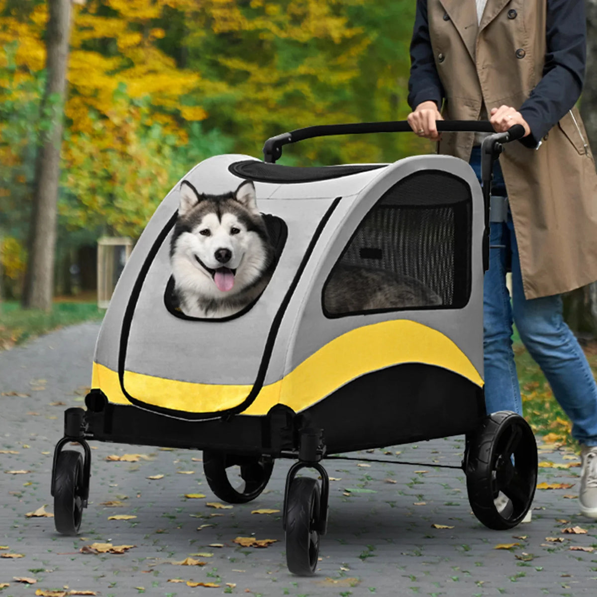 Poussette Pour Chien